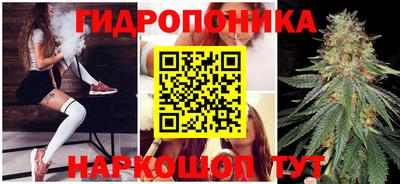 Альфа ПВП Гагарин