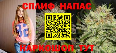 молекула духа Славянск-на-Кубани
